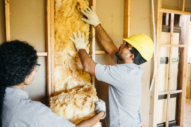 Best Reflective Insulation  in Hampton, SC